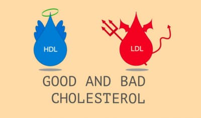 high cholesterol may lead to inflammation and stroke