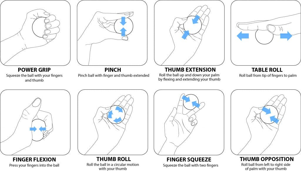 Therapy Ball Exercise Guide Flint Rehab