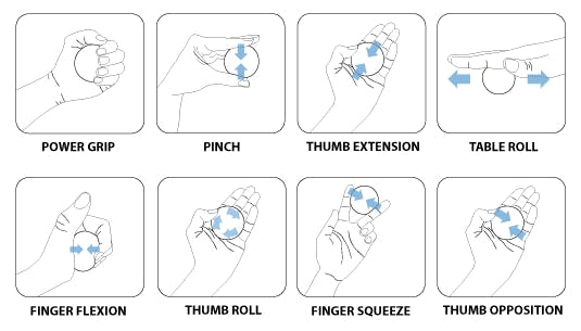 Therapy-Ball-Exercise-Guide