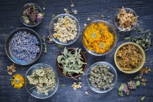 the pros and cons of taking chinese herbs for stroke recovery