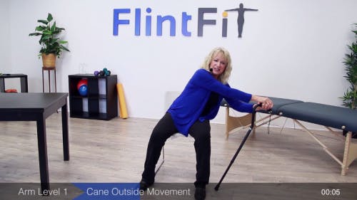 physical therapist demonstrating seated range of motion exercise