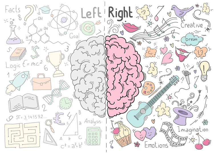 Brain Recovery Longer Than Clinical >> Right Side Stroke Side Effects Treatment And Timeline Brain Recovery Longer Than Clinical >> Right Side Stroke Side Effects Treatment And Timeline
