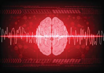 nocturnal seizures symptoms