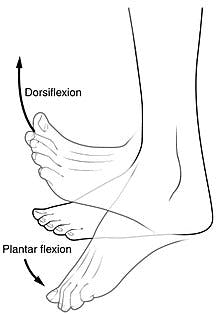 curing foot drop naturally