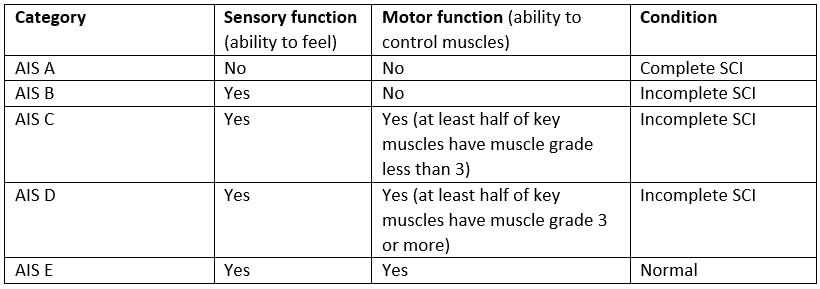 Asia Spinal Cord Injury Chart