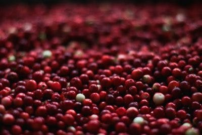 heaps of cranberries