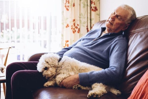 Hombre tomando una siesta con su perro en el sofá porque tiene somnolencia excesiva después del accidente cerebrovascular
