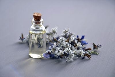 Bottle of essential oils near lavender flowers. Aromatherapy can sometimes treat loss of taste and smell after head injury