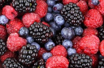 assortment of berries for brain injury recovery