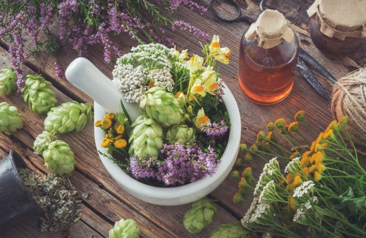 Ceramic Mortar and Pestle filled with flowers and herbs