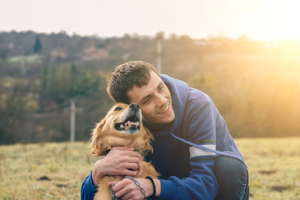 dog and owner hugging on grass field