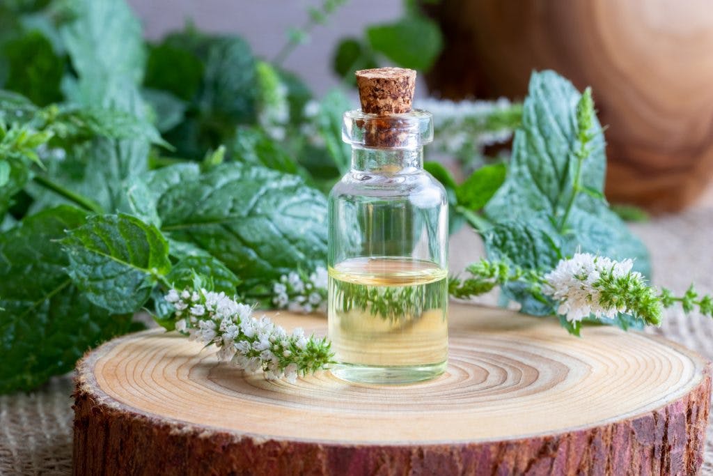 bottle of peppermint essential oil with fresh peppermint twigs