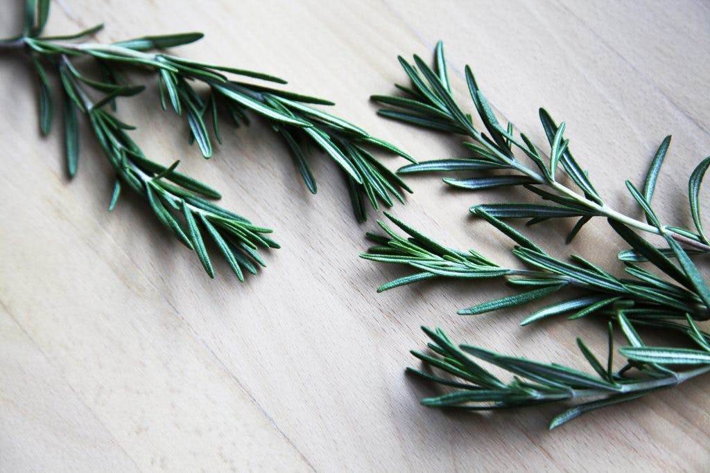 rosemary leaves used in essential oils for brain injury