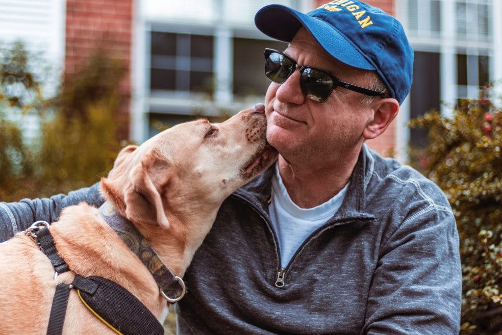 service dog licking owner to help him calm down