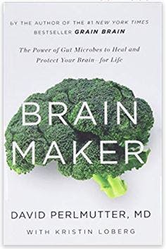 brain maker book cover for life after stroke