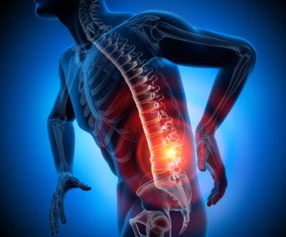 lumbar sci functions