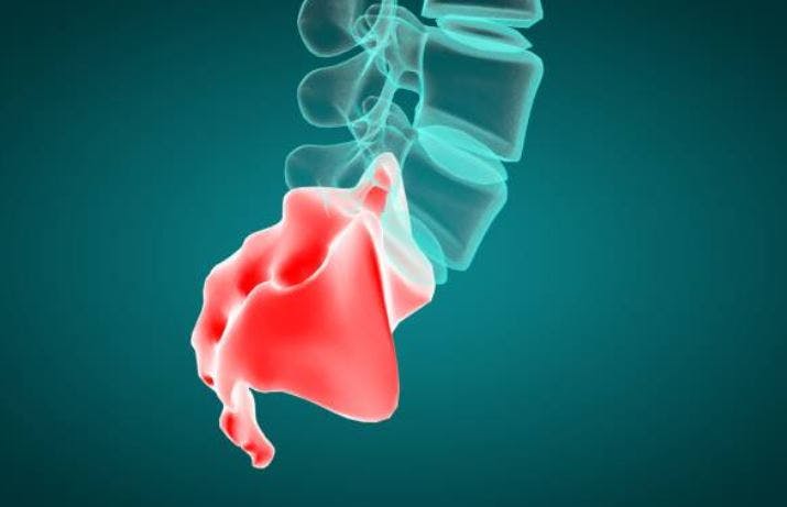 sacral spinal cord injury levels and their functions