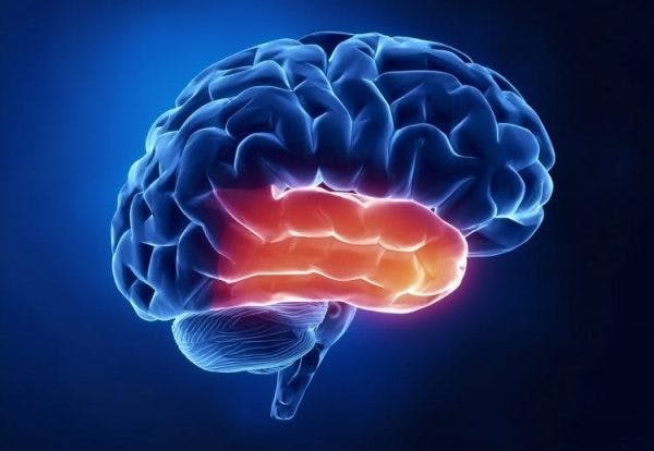 the ultimate guide to temporal lobe stroke