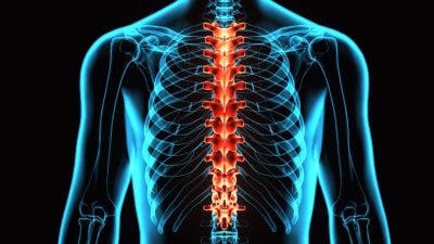 thoracic spinal cord injury levels