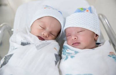 increased likelihood of cerebral palsy among twins suggests genetic causes