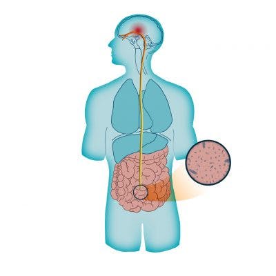 illustration of gut-brain axis