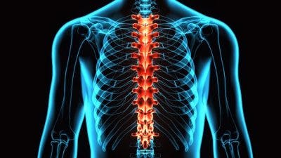 t4 spinal cord injury functions
