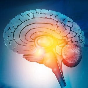 Hypothalamus Brain Injury: Causes, Diagnosis, And Treatment