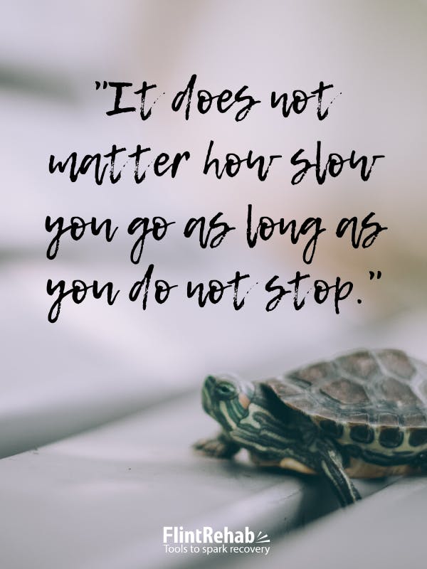 turtle with motivational quote on top