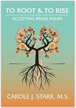 illustration of roots to rise stroke recovery book