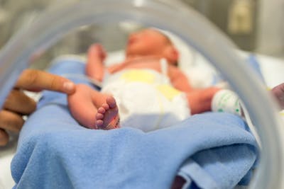 infant in hospital incubator, doctor's finger is touching the baby's leg to check reflexes
