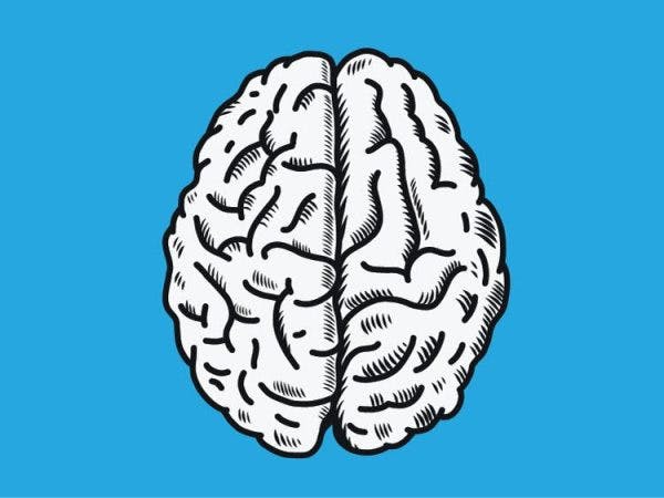 illustration of brain to highlight left hemisphere brain damage