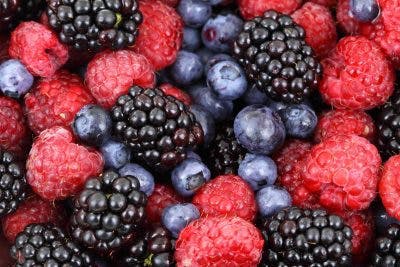 eating berries after a spinal cord injury