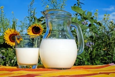 dairy products like milk and yogurt are great sources of calcium