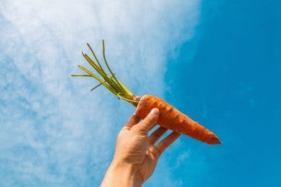 carrots are great sources of beta carotene which makes them one of the best food for spinal cord injury patients