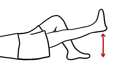 Spine Stretches for Lower Extremity