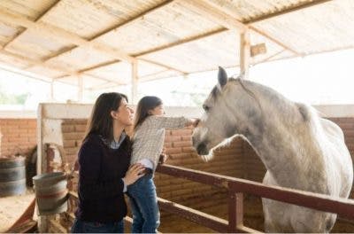 young girl with cerebral palsy at hippotherapy session