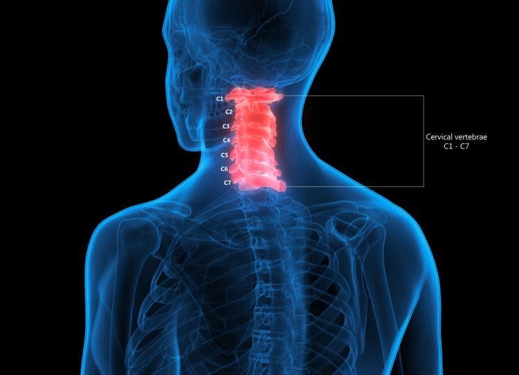 C1 Spinal Cord Injury What To Expect And How To Cope Flint Rehab