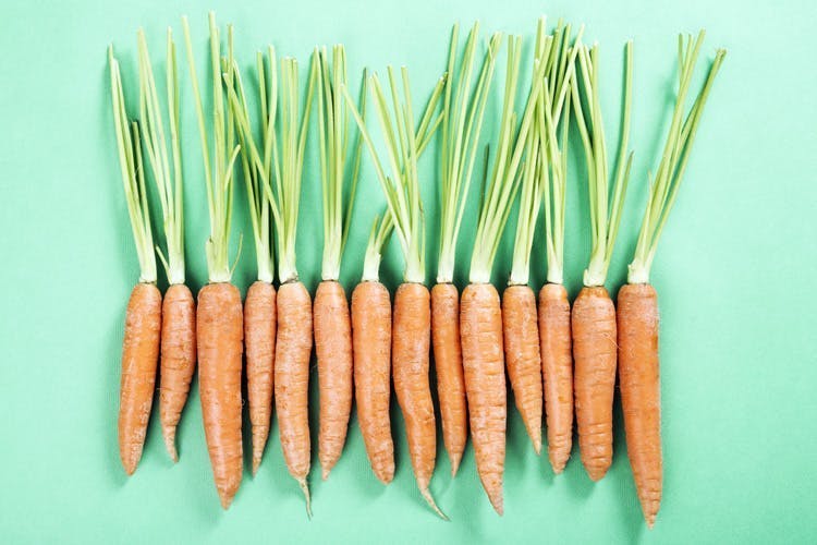 Une dizaine de carottes vous accueille aux 7 aliments actifs et puissants qui aident à prévenir les AVC.