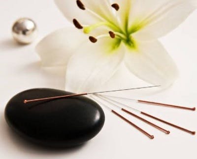 long, thin acupuncture needles placed elegantly on top of a stone with a natural flower in the background