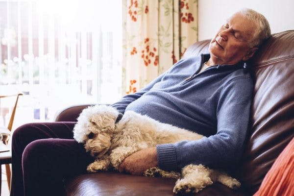 Mann, der auf der Couch schläft, während er seinen Hund streichelt, um viel Schlaf nach einem Schlaganfall zu veranschaulichen