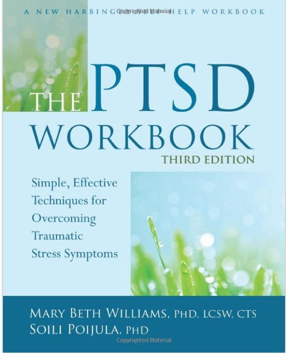 stroke recovery book cover about ptsd