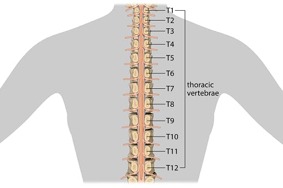 Six Signs of Spinal Cord Recovery