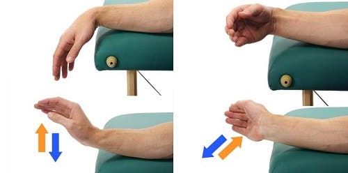 wrist flexion and extension hand exercise for sci