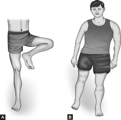 illustration of lower extremity synergies