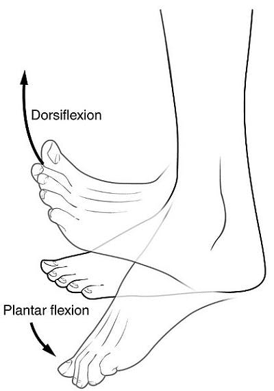 medical illustration of dorsiflexion to demonstrate foot drop after tbi