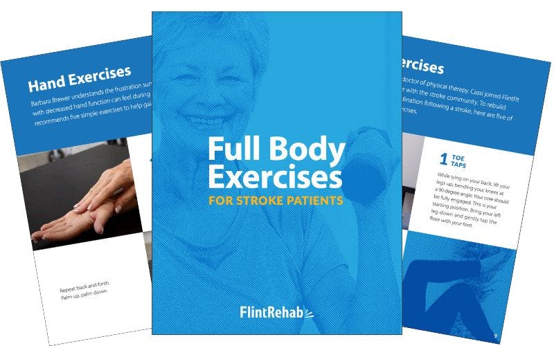 stroke physical therapy exercises for the home ebook cover